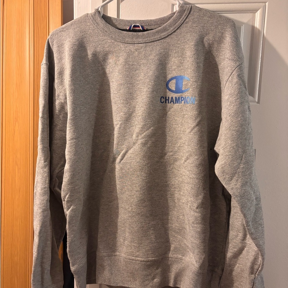 Champion Men's Crewneck Sweater in Gray